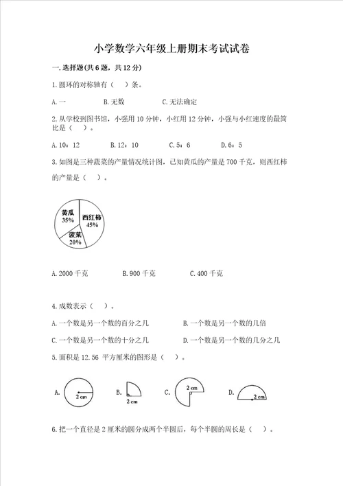 小学数学六年级上册期末考试试卷含完整答案夺冠系列