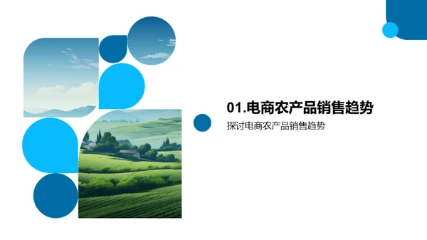农业电商升级