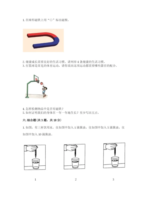 教科版小学科学二年级下册 期末测试卷附参考答案（考试直接用）.docx