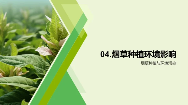 绿色烟草：实现可持续种植