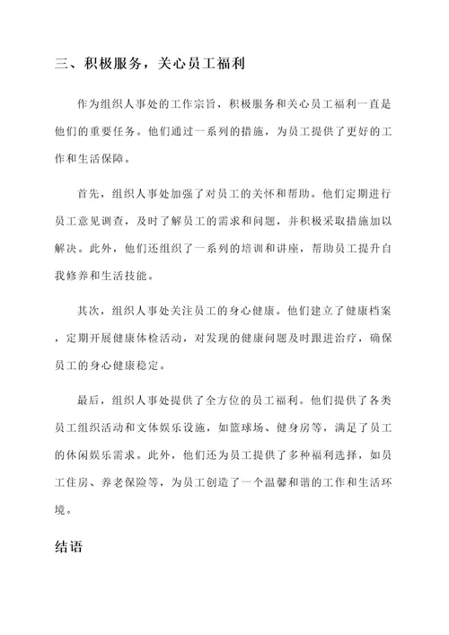 组织人事处先进事迹