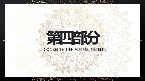 黑金高端大气金融产品介绍动态PPT模板
