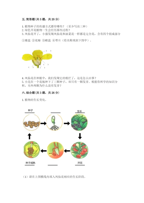 科学四年级下册第一单元《植物的生长变化》测试卷【轻巧夺冠】.docx