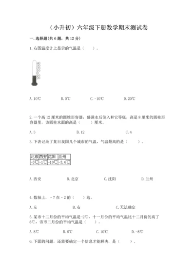 （小升初）六年级下册数学期末测试卷及完整答案（全优）.docx