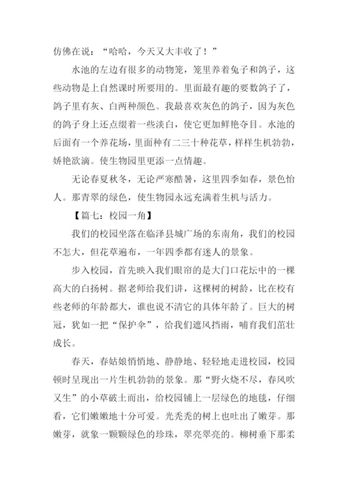 校园一角作文500字-1.docx