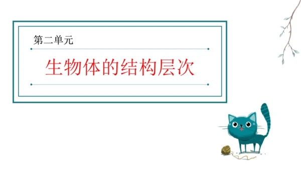 七上 第二单元生物体的结构层次-复习课件(共35张PPT)