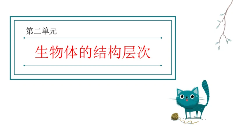 七上 第二单元生物体的结构层次-复习课件(共35张PPT)