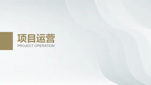 白金银色质感创业商业计划书通用PPT模板