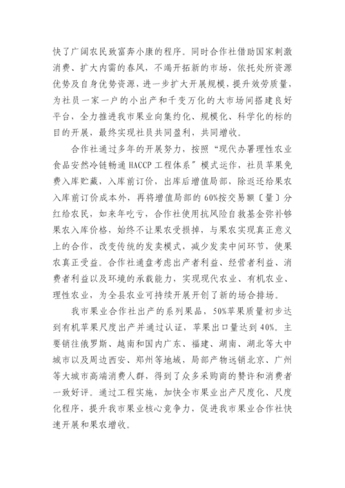 站果业项目申报书.docx