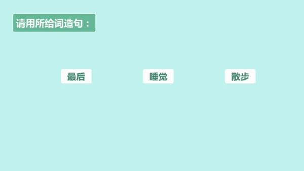 19大象的耳朵  课件