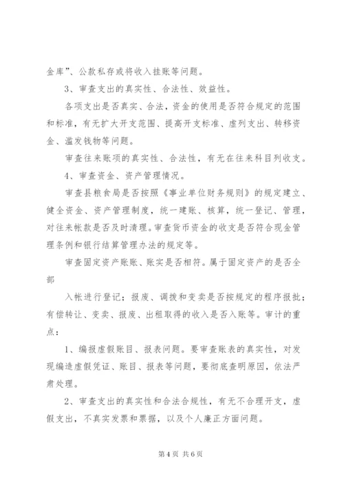 审计实施方案范本 (3).docx