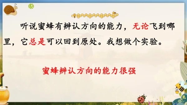 14《蜜蜂》课件