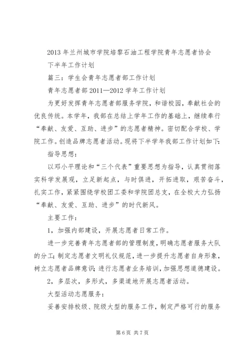 篇一：青年志愿者工作计划.docx