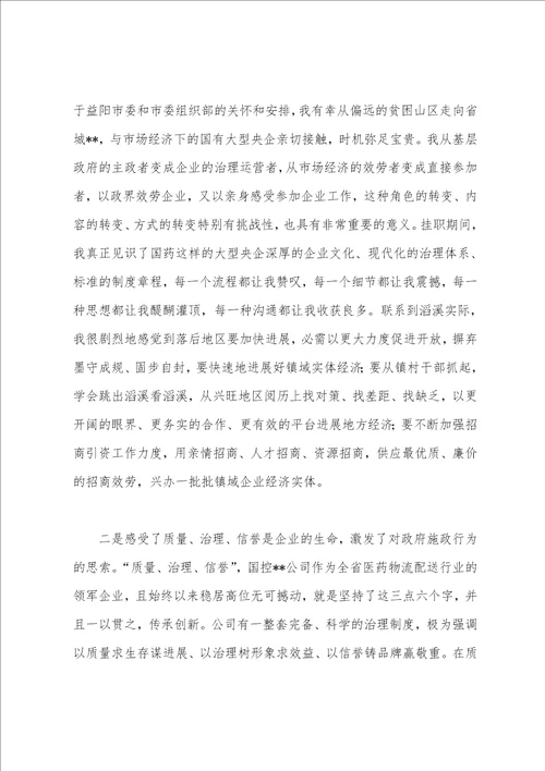 物流部副经理挂职工作总结与心得体会