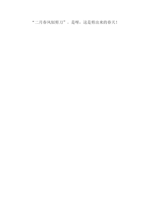 剪出来的春天作文500字.docx