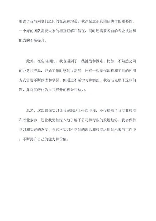 顶岗实习工作个人总结
