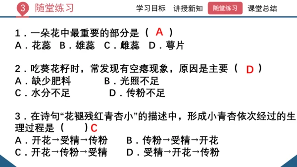 3.2.3  开花和结果  课件-2023-2024学年人教版生物七年级上册(共27张PPT)