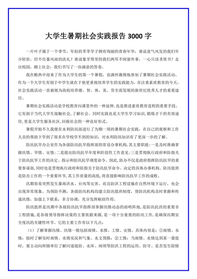大学生暑期社会实践报告3000字