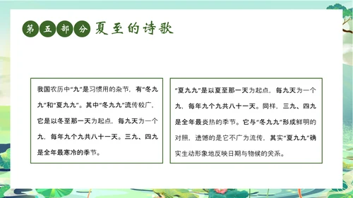 夏至时节主题班会荷花莲花池PPT模板