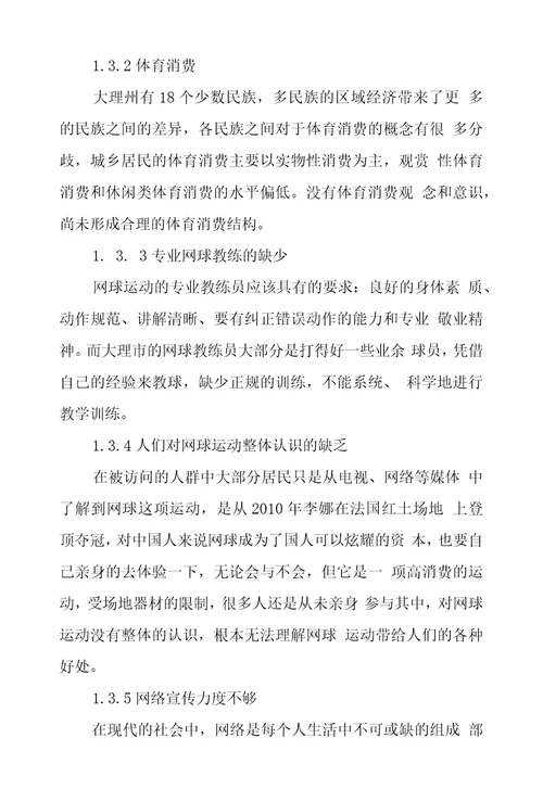 大理州业余网球运动发展状况及对策探究
