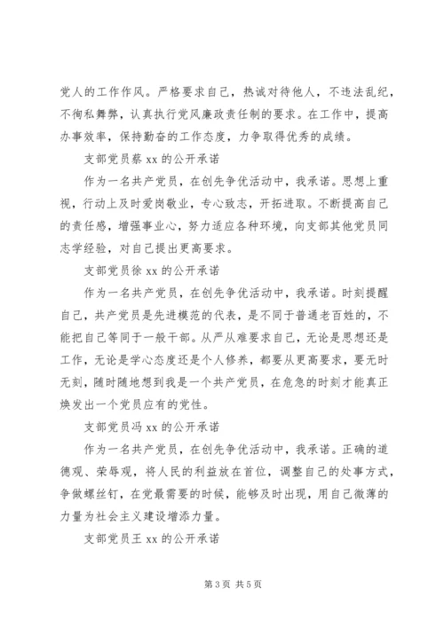 支部党员公开承诺书(20XX年).docx