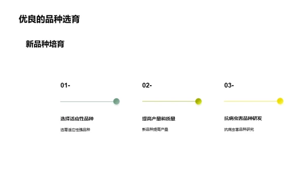 可持续农业发展的道路