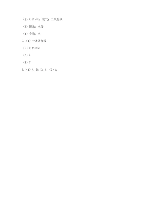 科学四年级下册第一单元植物的生长变化测试卷【b卷】.docx