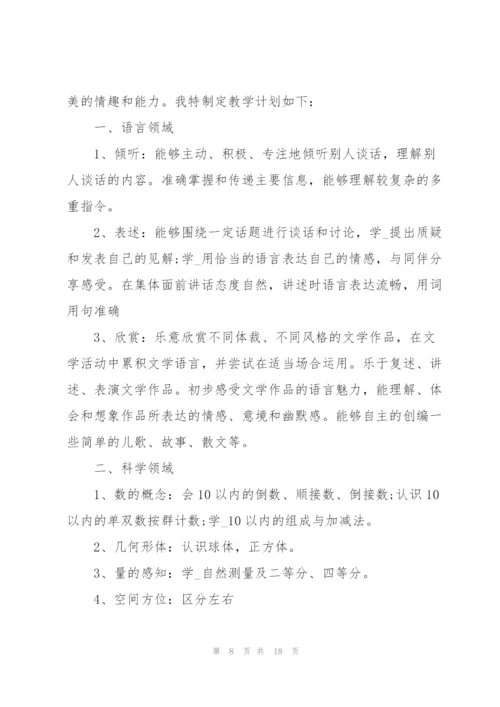 如何设计幼儿园教学活动方案范文.docx
