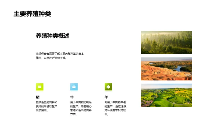 牧场运营与效益提升