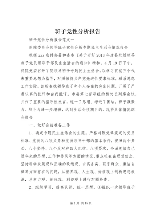 班子党性分析报告.docx