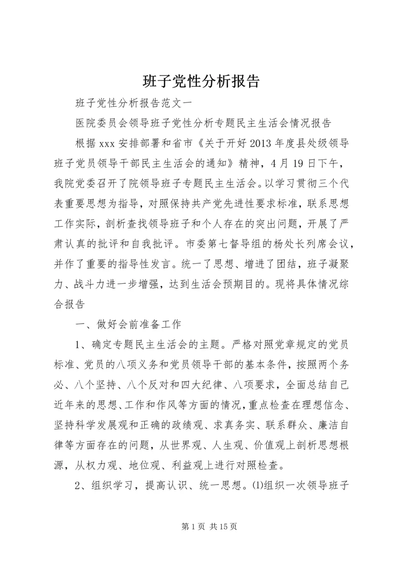 班子党性分析报告.docx