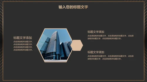 黑金商务项目总结PPT模板