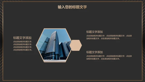 黑金商务项目总结PPT模板