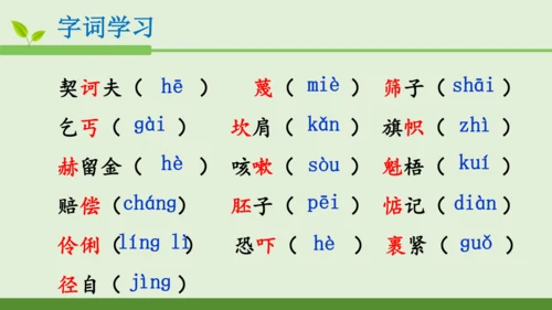 6 变色龙  课件 (共36张PPT)