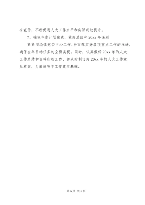人大某年下半年工作计划.docx