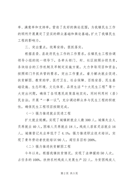 乡镇年度民生工程工作总结.docx
