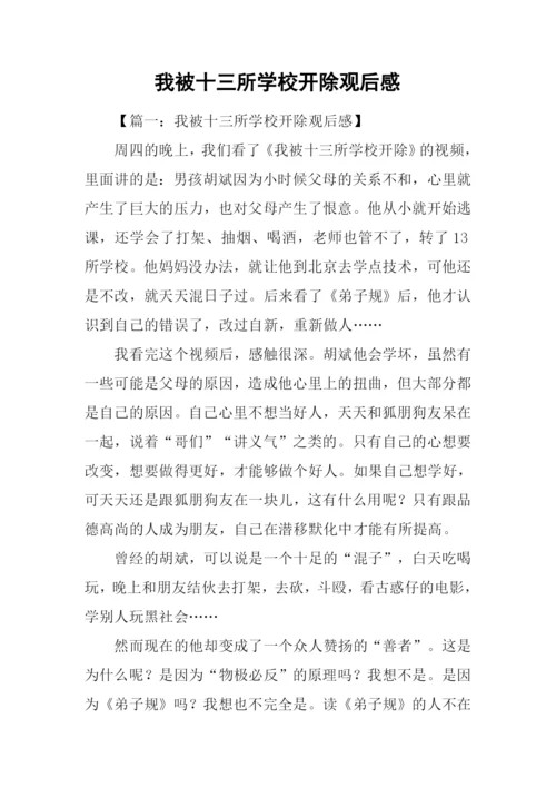 我被十三所学校开除观后感.docx