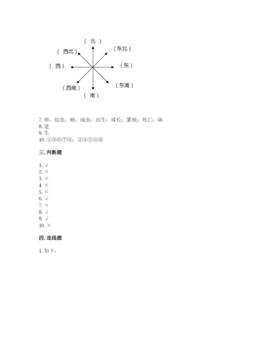 教科版三年级下册科学期末测试卷（模拟题）.docx
