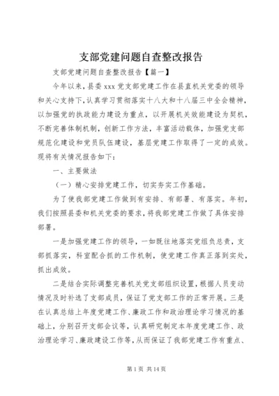 支部党建问题自查整改报告.docx