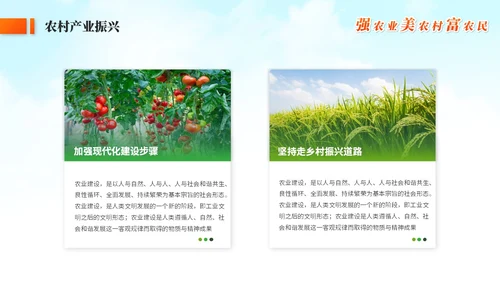 绿色简约农村现代化乡村建设农业发展ppt模板