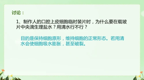 人教版（2024）七年级上册1.2.3 动物细胞 课件(共26张PPT)