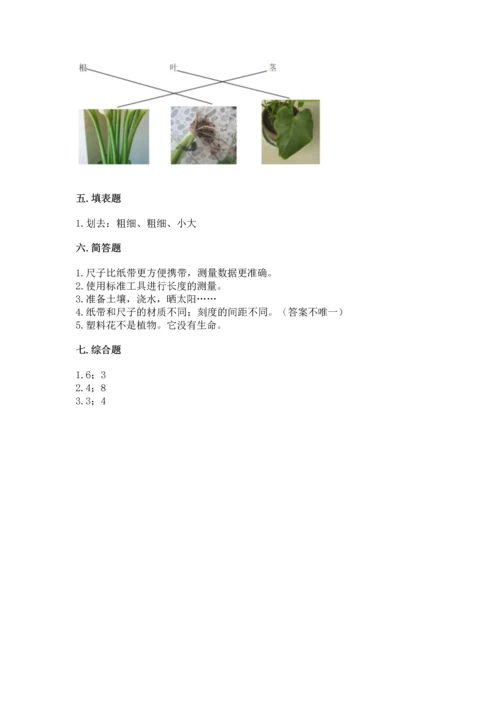 教科版一年级上册科学期末测试卷带答案（新）.docx