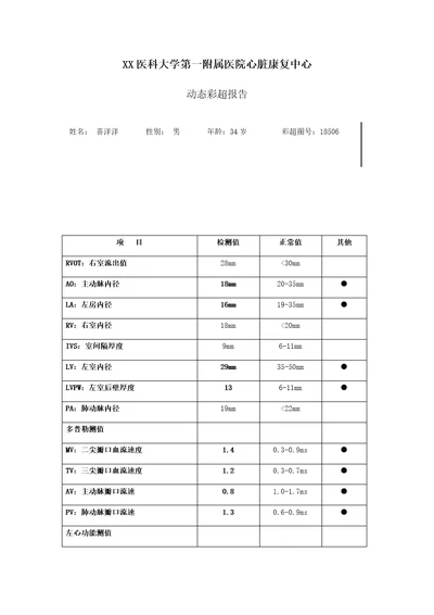 心脏彩超检测报告共2页