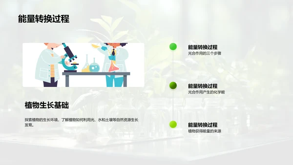 探秘植物生长