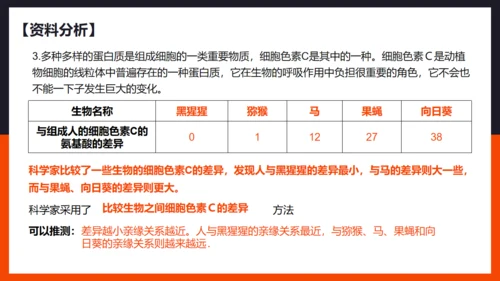 生命起源和生物进化企鹅通用PPT模板