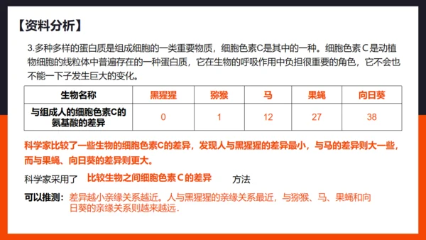 生命起源和生物进化企鹅通用PPT模板