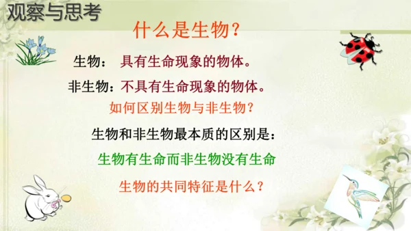 人教版（2024）七年级上册1.1.2 生物的特征 课件(共20张PPT)