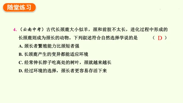 7.3.3生物进化的原因-八年级生物人教版下学期同步精品课件(共44张PPT)