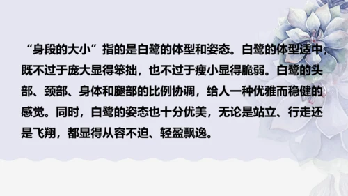 《1 白鹭》课件