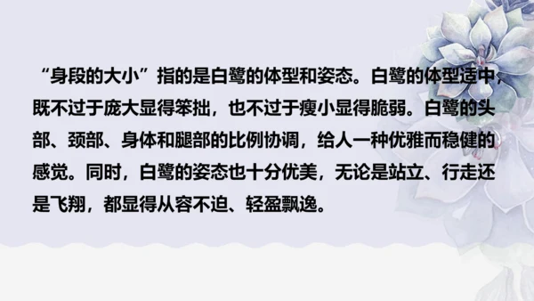 《1 白鹭》课件
